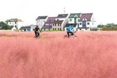 国产乱子,揭秘中国电影市场的独特现象与挑战